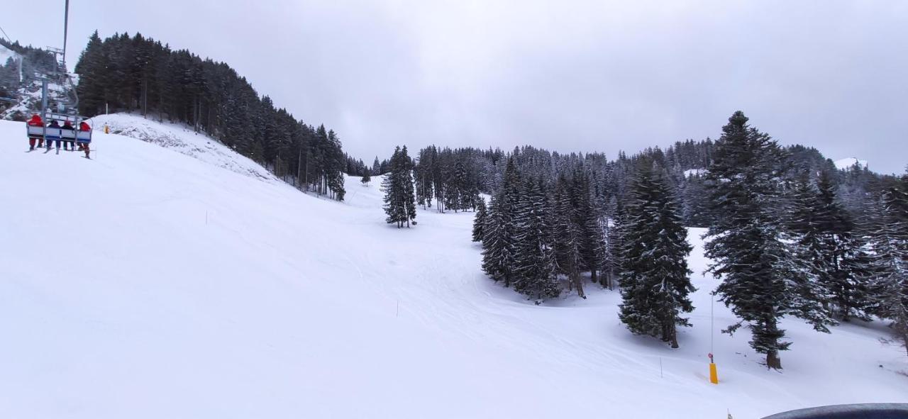Appartement T2 A Bernex Avec Wifi, Vue Sur Montagne المظهر الخارجي الصورة