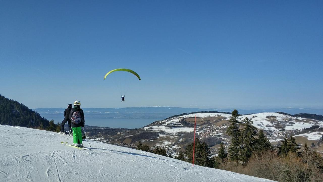 Appartement T2 A Bernex Avec Wifi, Vue Sur Montagne المظهر الخارجي الصورة